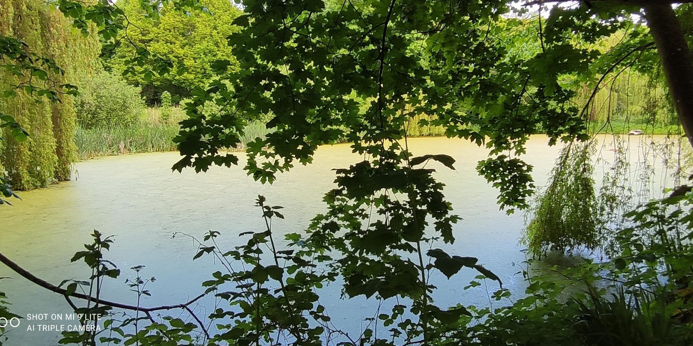 Energiearbeit nach dem öffnen Ersatzbild