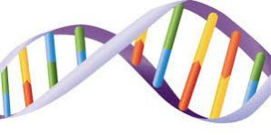 quellenenergie-thetahealing Quellenenergie ThetaHealing